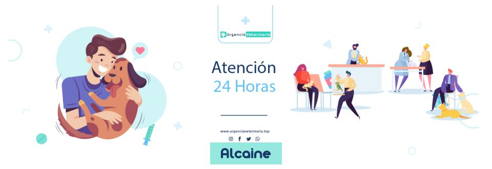 Clínica urgencia veterinaria Clínica Veterinaria Fuenfresca 24 horas en Alcaine