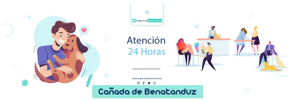 Clínica urgencia veterinaria Ayuntamiento Cañada de Benatanduz 24 horas en Cañada de Benatanduz