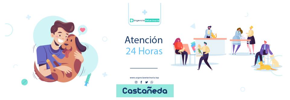 Clínica urgencia veterinaria Clínica Veterinaria Besaya 24 horas en Castañeda