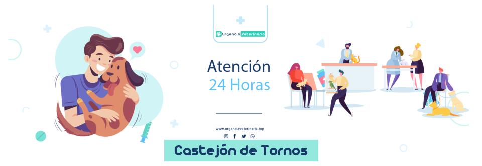 Clínica urgencia veterinaria Chc Veterinarios S.C. 24 horas en Castejón de Tornos