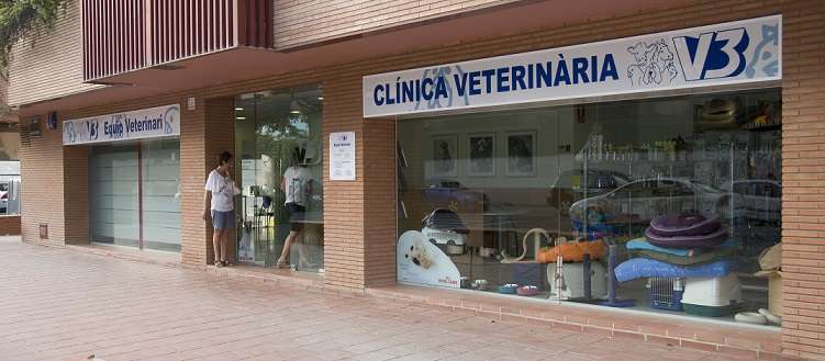 urgencia veterinaria.Clínica Veterinaria V3 Lleida.Carrer Joc de la Bola, 22, BAJO, 25003 Lleida
