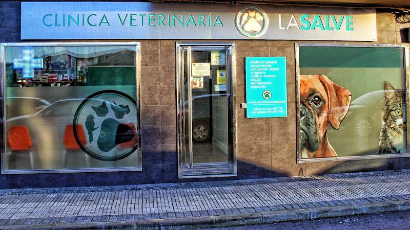 urgencia veterinaria.Clínica Veterinaria La Salvé, Laredo..C. El Pelegrín, 35, 39770 Laredo, Cantabria