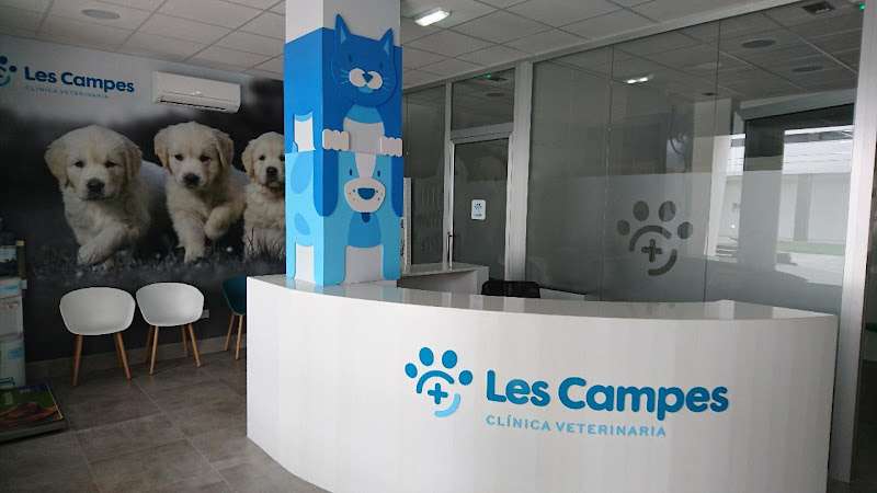 urgencia veterinaria.Clínica Veterinaria Les Campes.Pl. Carlos de Quirós Rodríguez, Nº2, Bajo, 33510 Pola de Siero, Asturias