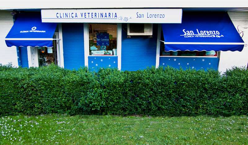 urgencia veterinaria.Clínica Veterinaria San Lorenzo.C. Impala, 1, 28033 Madrid
