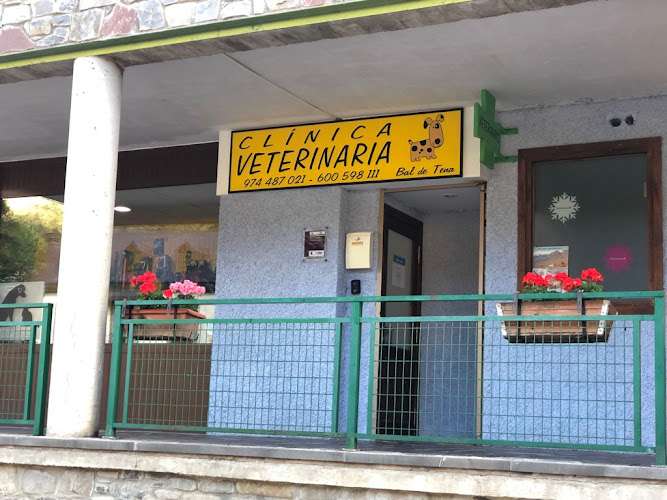 urgencia veterinaria.Clínica Veterinaria Bal De Tena.Carretera de Francia, 1, 22660 Escarrilla, Huesca
