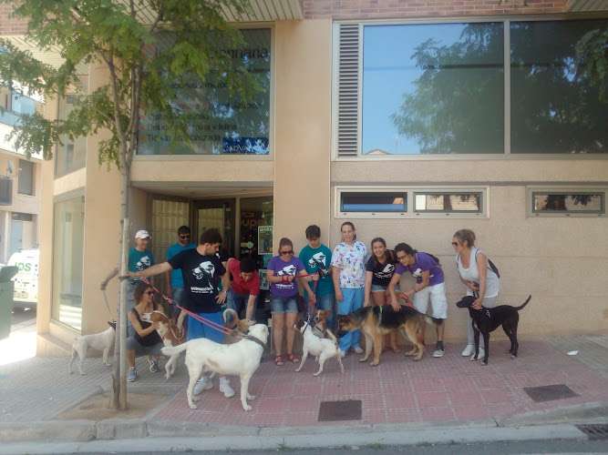 urgencia veterinaria.Clínica Veterinaria Belén Carasa.C. Ximénez de Rada, 53, 31500 Tudela, Navarra