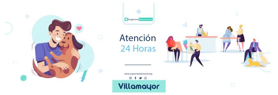 Clínica urgencia veterinaria Clínica Veterinaria Luna Villamayor Salamanca 24 horas en Villamayor